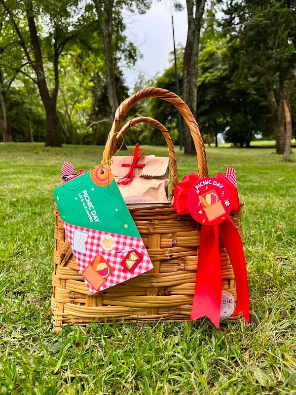 a243c21c-9b99-44c8-b863-88b72763c132 Picnic Box
